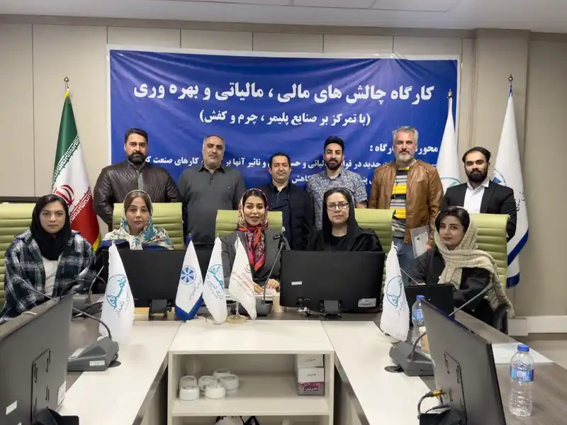 کارگاه چالش های مالی و مالیاتی در صنعت کفش