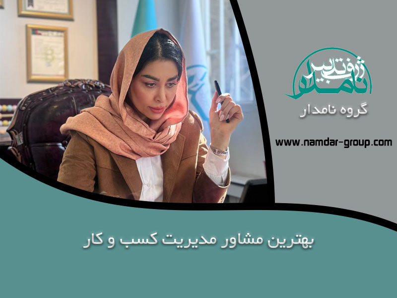 مشاور مدیریت کسب و کار
