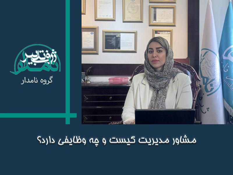 مشاور مدیریت