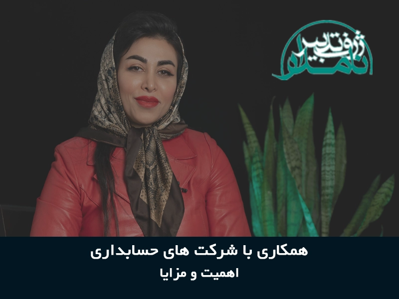 همکاری با شرکت های خدمات حسابداری